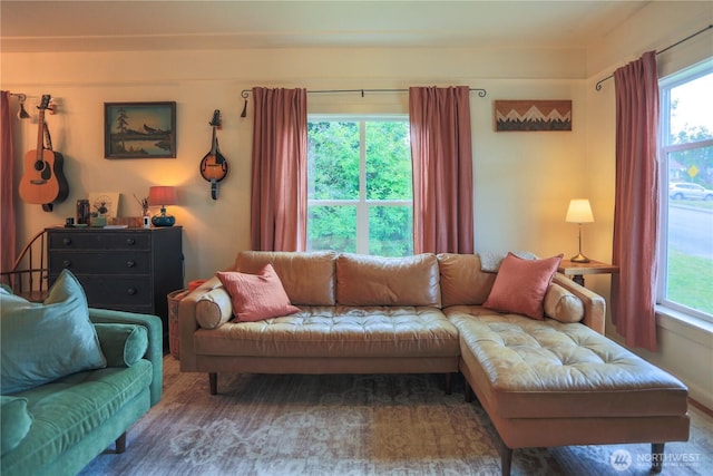 315 SW C St, Tumwater, WA 98512 - living room featuring plenty of natural light