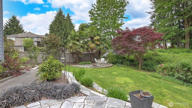 view of yard featuring a patio