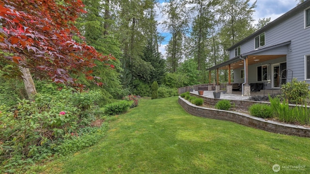 view of grassy yard featuring a patio