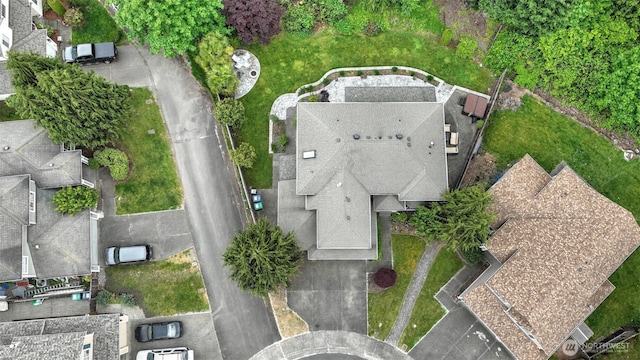 bird's eye view
