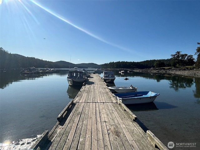 567 Marine Ln, Stuart Island, WA 98250