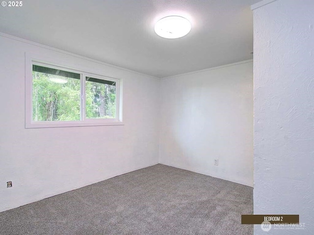 823 D St, Vader, WA 98593 - empty room with carpet flooring and ornamental molding
