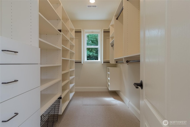 711 SE Pheasant Run, College Place, WA 99324 - spacious closet with carpet floors
