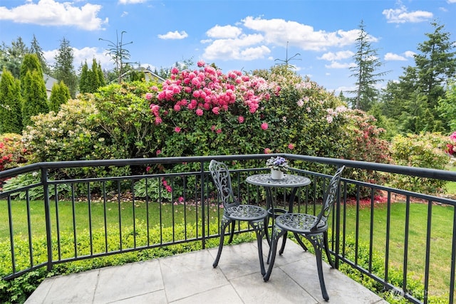 916 Kari Ln, Steilacoom, WA 98388 - view of balcony