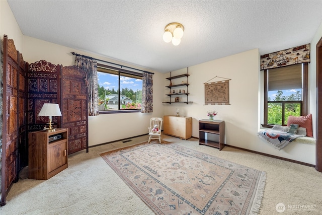 916 Kari Ln, Steilacoom, WA 98388 - living area with carpet floors, healthy amount of natural light, a textured ceiling, and baseboards
