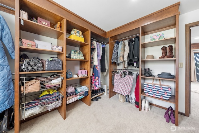916 Kari Ln, Steilacoom, WA 98388 - spacious closet with carpet