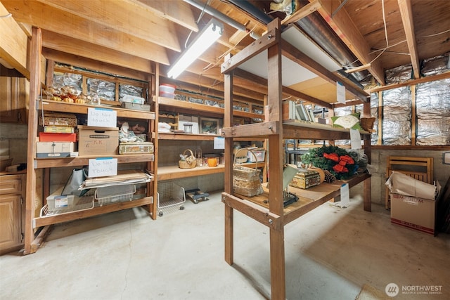 916 Kari Ln, Steilacoom, WA 98388 - view of storage