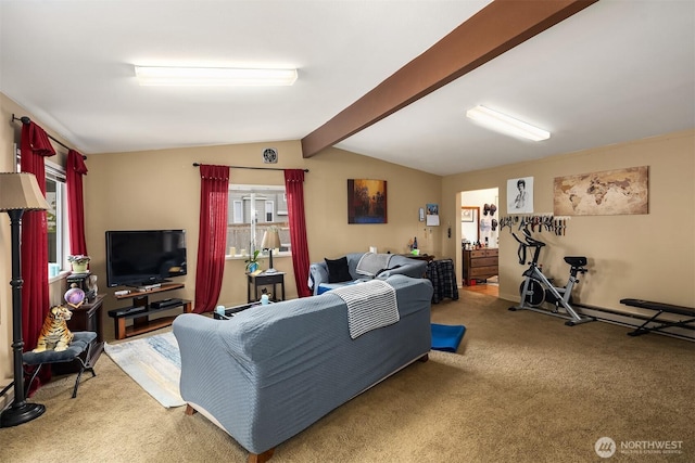 10215 126th Ave NE, Kirkland, WA 98033 - living area with carpet floors