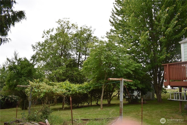 912 Nevada Dr, Longview, WA 98632 - photo 4