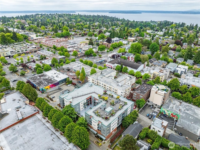 2331 42nd Ave SW Unit 403, Seattle, WA 98116 - aerial view of a nearby body of water