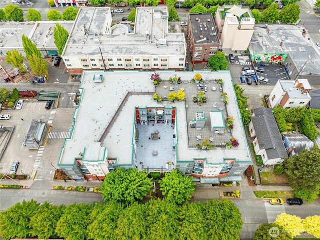 2331 42nd Ave SW Unit 403, Seattle, WA 98116 - drone / aerial view
