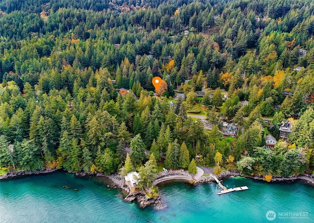 2920 Cedar Ave, Lummi Island, WA 98262 - bird's eye view of a heavily wooded area and a large body of water