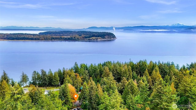 2920 Cedar Ave, Lummi Island, WA 98262 - water view with a mountain backdrop and a heavily wooded area