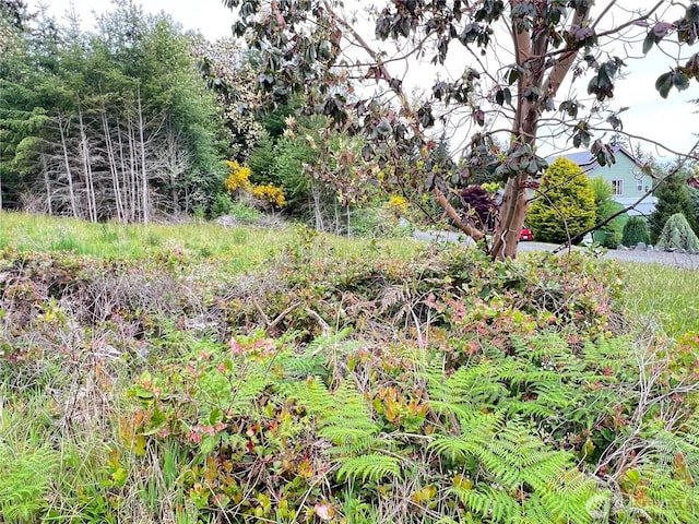 0 N Andrew Ave, Port Townsend, WA 98368