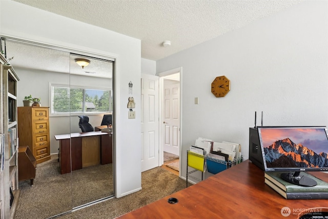 carpeted office space with a textured ceiling