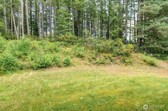 9535 Olalla Valley Rd SE, Port Orchard, WA 98367 - view of wooded area