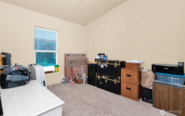 178 Bear View Dr, Chehalis, WA 98532 - office area featuring carpet floors, vaulted ceiling, and radiator