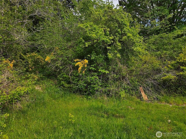 0 Sullivan Rd, Allyn, WA 98524 - photo 4