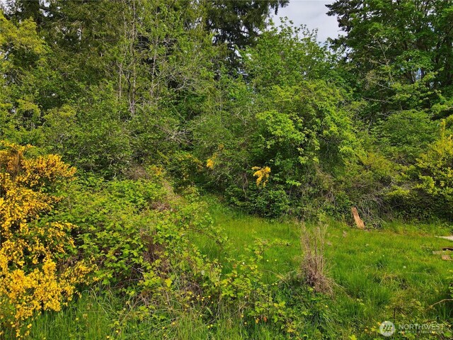 0 Sullivan Rd, Allyn, WA 98524 - photo 5