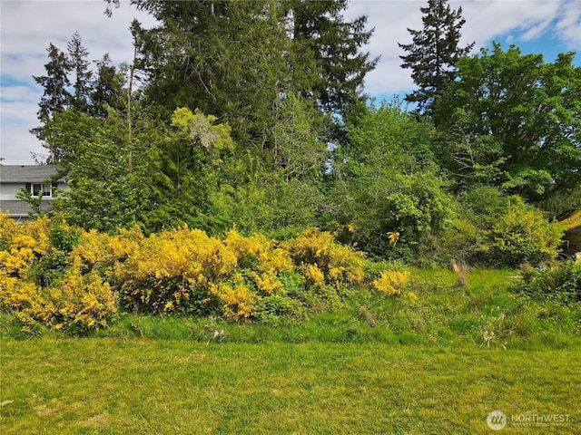0 Sullivan Rd, Allyn, WA 98524 - photo 6