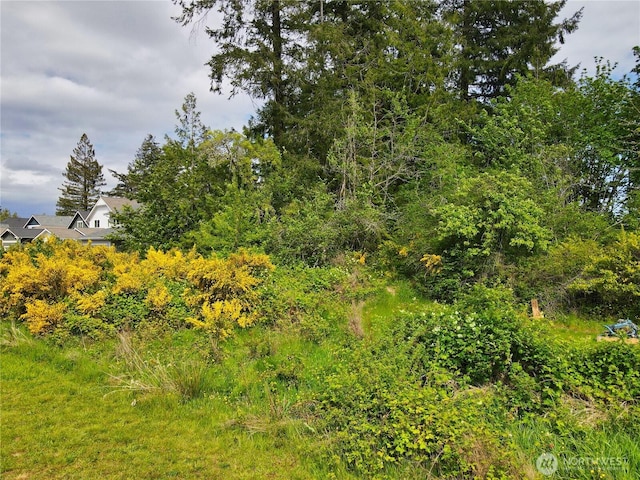 0 Sullivan Rd, Allyn, WA 98524 - photo 7
