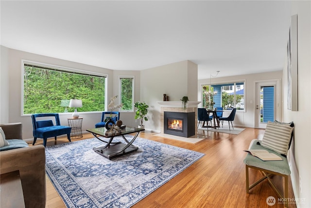4037 220th Pl SE Unit 1105, Issaquah, WA 98029 - living area with light wood finished floors, a fireplace, and baseboards