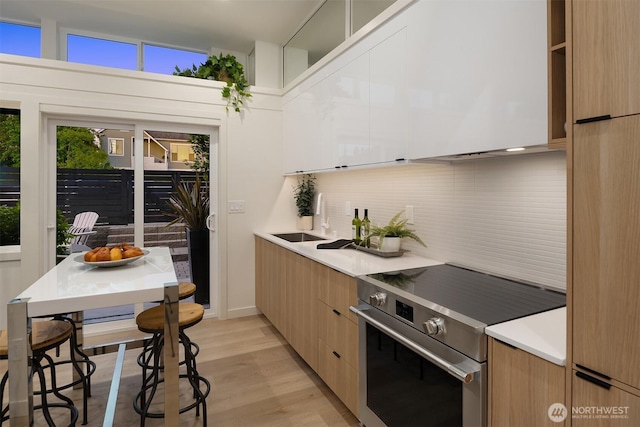kitchen featuring stainless steel electric stove, modern cabinets, a sink, and backsplash