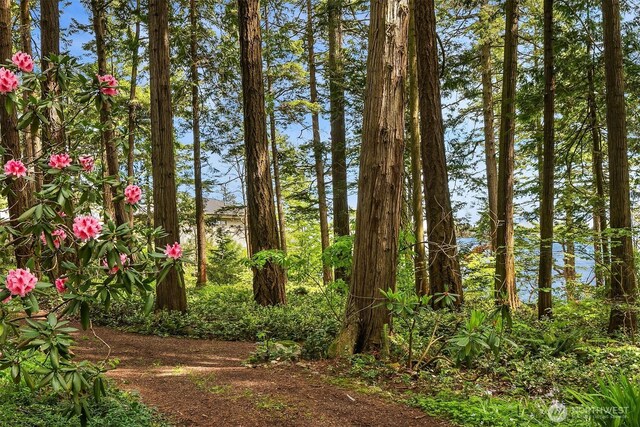 871 Deer Point Rd, Orcas Island, WA 98279 - view of nature