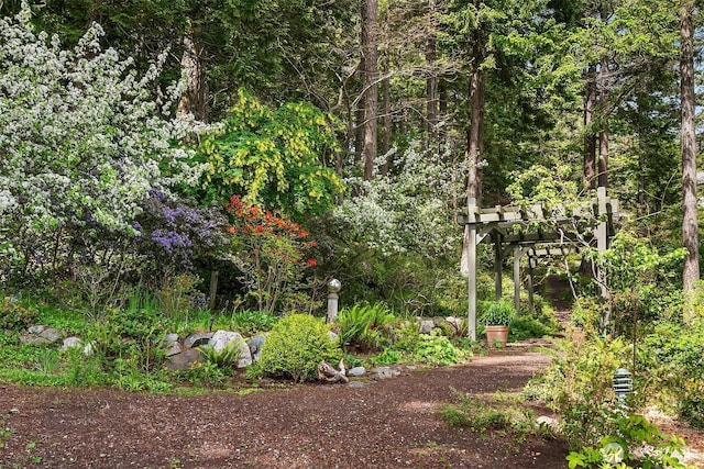 871 Deer Point Rd, Orcas Island, WA 98279 - view of yard with a forest view