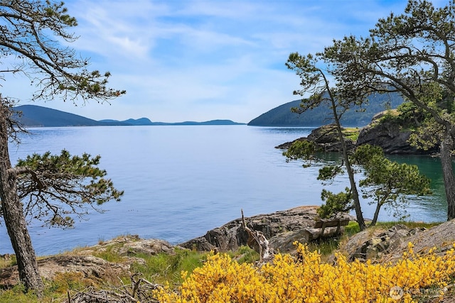 871 Deer Point Rd, Orcas Island, WA 98279 - water view with mountains