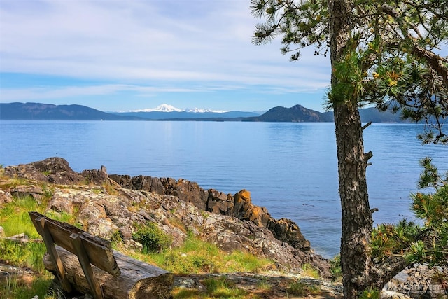 871 Deer Point Rd, Orcas Island, WA 98279 - water view with a mountainous background