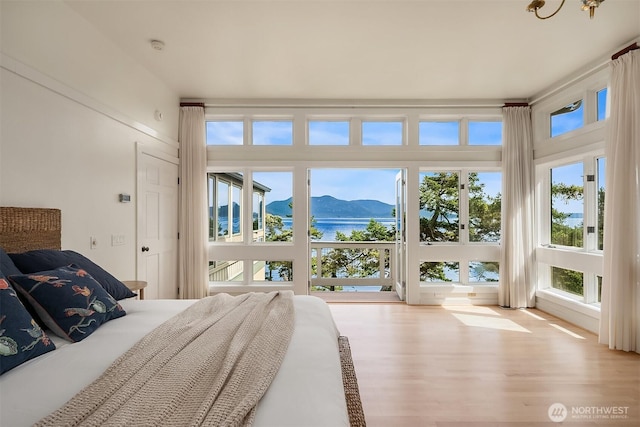 871 Deer Point Rd, Orcas Island, WA 98279 - bedroom with wood finished floors, multiple windows, and a water and mountain view
