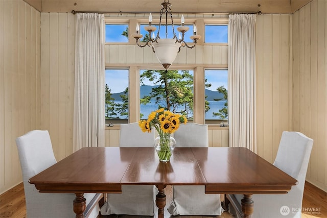871 Deer Point Rd, Orcas Island, WA 98279 - dining space featuring a chandelier, wooden walls, wood finished floors, and plenty of natural light
