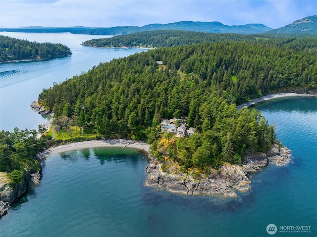 871 Deer Point Rd, Orcas Island, WA 98279 - drone / aerial view of a heavily wooded area and a water and mountain view
