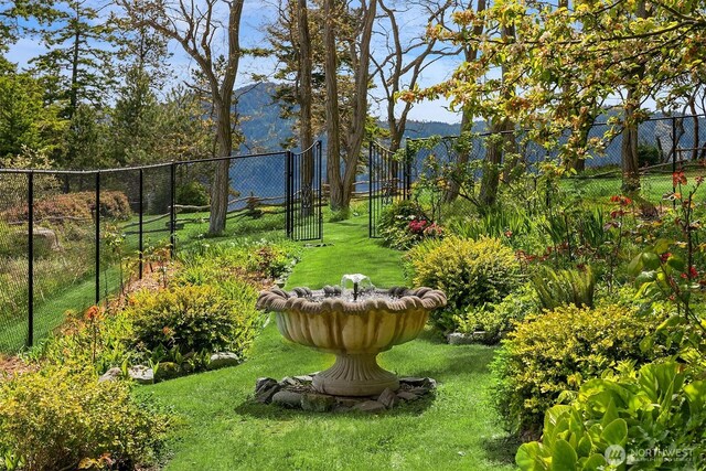 871 Deer Point Rd, Orcas Island, WA 98279 - view of yard