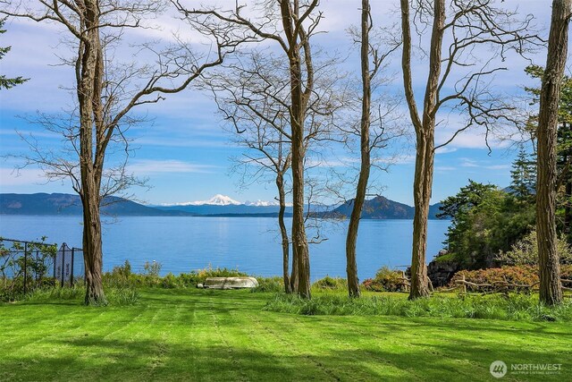 871 Deer Point Rd, Orcas Island, WA 98279 - water view with a mountainous background