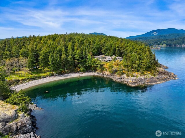 871 Deer Point Rd, Orcas Island, WA 98279 - bird's eye view of a water and mountain view and a forest
