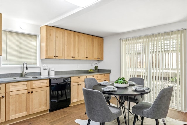 3437 21st Ave W, Seattle, WA 98119 - photo 4