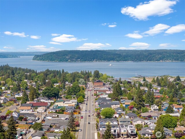 aerial view of residential area featuring a nearby body of water and a forest