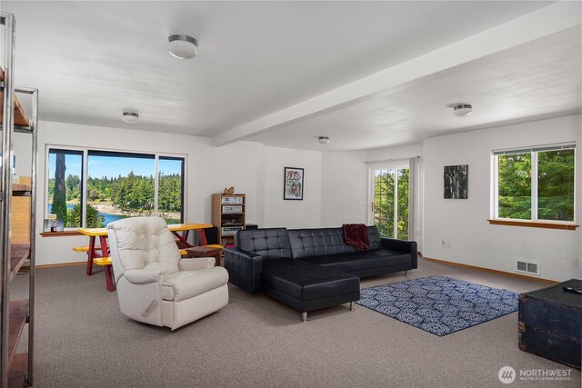 101 SE Channel Point Rd, Shelton, WA 98584 - photo 21