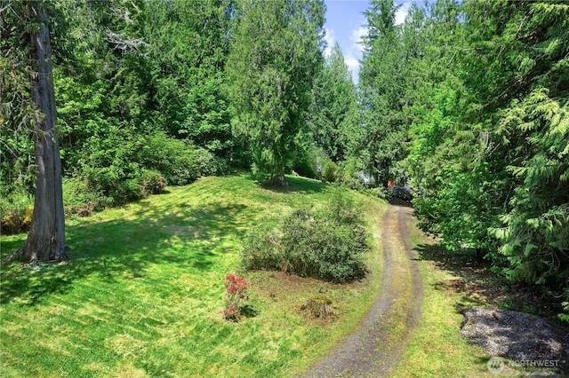 101 SE Channel Point Rd, Shelton, WA 98584 - photo 26