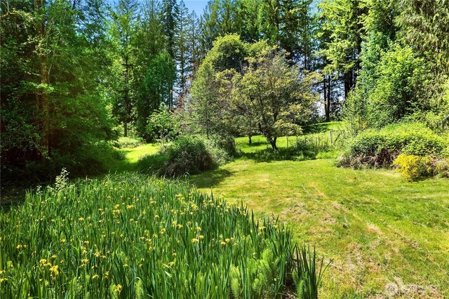 101 SE Channel Point Rd, Shelton, WA 98584 - photo 30