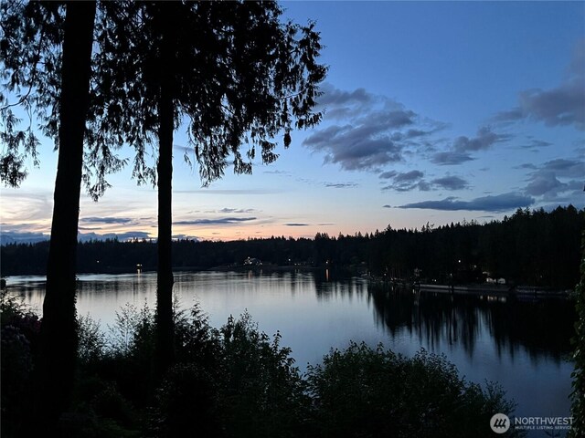 101 SE Channel Point Rd, Shelton, WA 98584 - photo 40