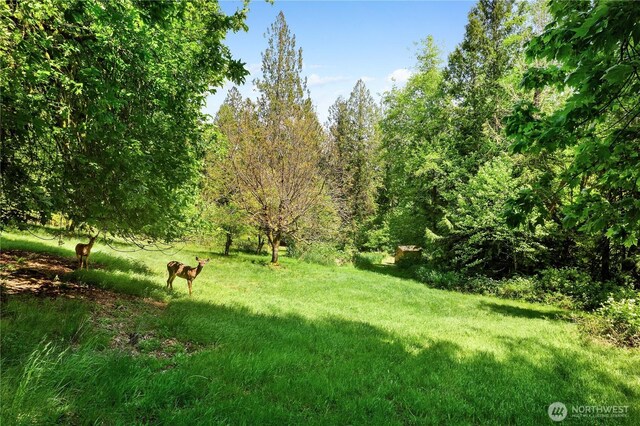 101 SE Channel Point Rd, Shelton, WA 98584 - photo 31