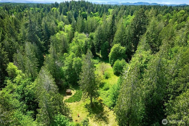 101 SE Channel Point Rd, Shelton, WA 98584 - photo 37