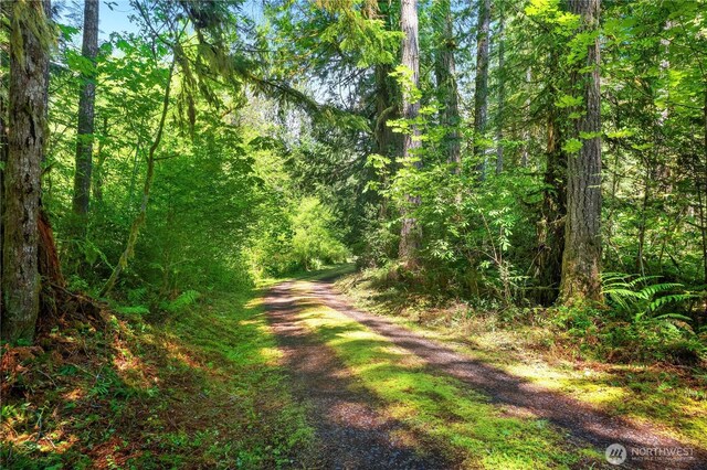 101 SE Channel Point Rd, Shelton, WA 98584 - photo 38