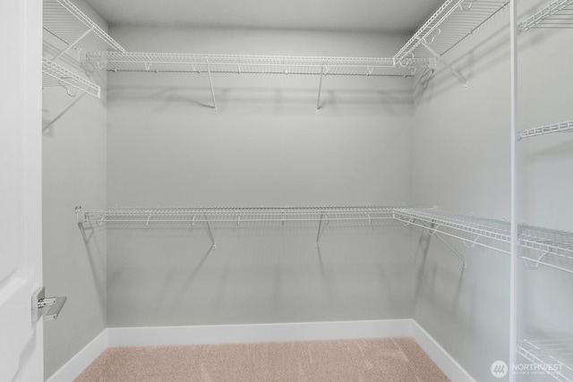 14130 15th Ave W, Lynnwood, WA 98087 - spacious closet featuring carpet flooring