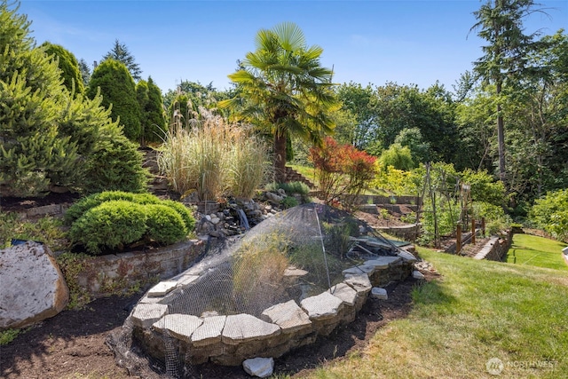 22204 98th Pl S, Kent, WA 98031 - photo 21