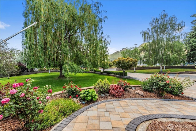 2060 5th St, Wenatchee, WA 98801 - surrounding community featuring a lawn