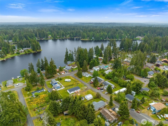 60 E Treewater Pl, Shelton, WA 98584 - view of property location with a forest, a nearby body of water, and nearby suburban area